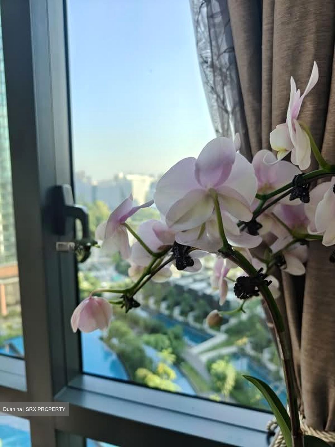 Normanton Park (D5), Apartment #554786771